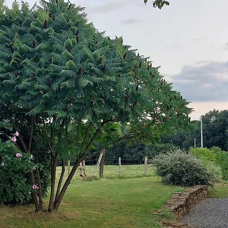 Fermette 3 étoiles, Proche Du Mans, Jusqu'à 14 Personnes - Fr-1-410-488 * Saint-Georges-du-Bois (Sarthe)