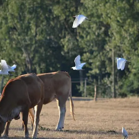 度假居 Fermette 3 Etoiles, Proche Du Mans, Jusqu'a 14 Personnes - Fr-1-410-488 *