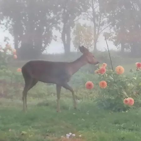 Fermette 3 Etoiles, Proche Du Mans, Jusqu'a 14 Personnes - Fr-1-410-488 度假居