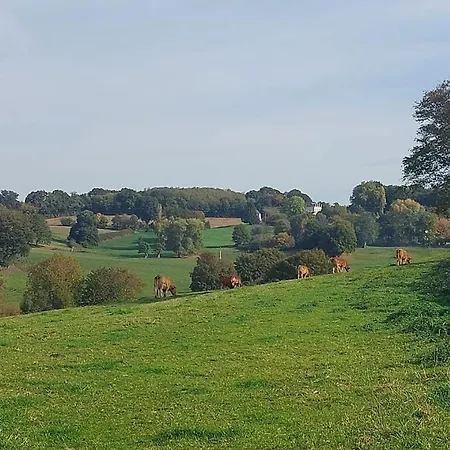 Fermette 3 Etoiles, Proche Du Mans, Jusqu'a 14 Personnes - Fr-1-410-488 度假居 Saint-Georges-du-Bois (Sarthe)