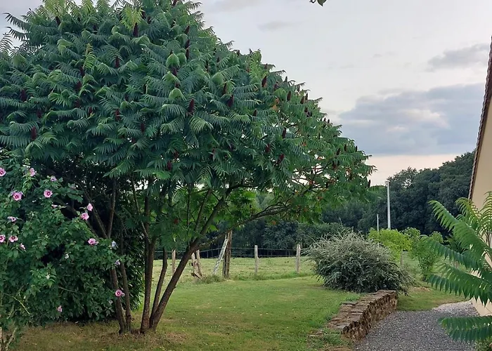 Fermette 3 Etoiles, Proche Du Mans, Jusqu'a 14 Personnes - Fr-1-410-488 * Saint-Georges-du-Bois (Sarthe)