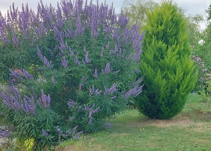 Ferienhaus Fermette 3 Etoiles, Proche Du Mans, Jusqu'a 14 Personnes - Fr-1-410-488 *