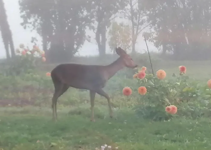 Fermette 3 Etoiles, Proche Du Mans, Jusqu'a 14 Personnes - Fr-1-410-488 Ferienhaus