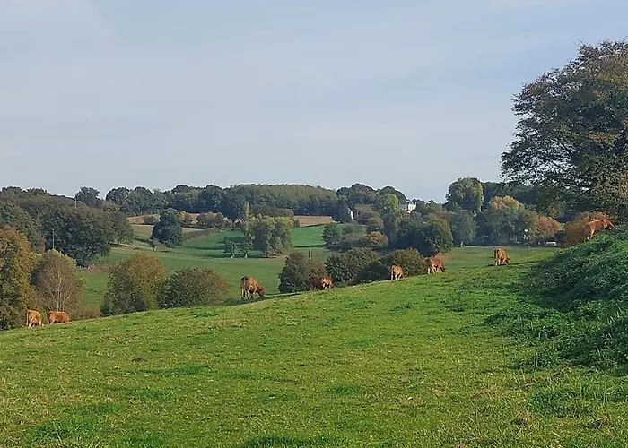 Fermette 3 Etoiles, Proche Du Mans, Jusqu'a 14 Personnes - Fr-1-410-488 Ferienhaus Saint-Georges-du-Bois (Sarthe)